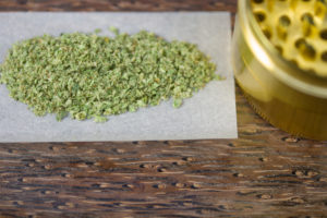 Medical marijuana with a grinder
